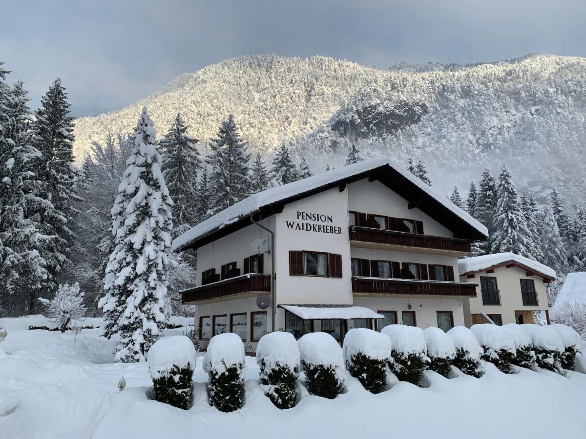 Pension & Apartments Waldkrieber Presseggersee Zewnętrze zdjęcie