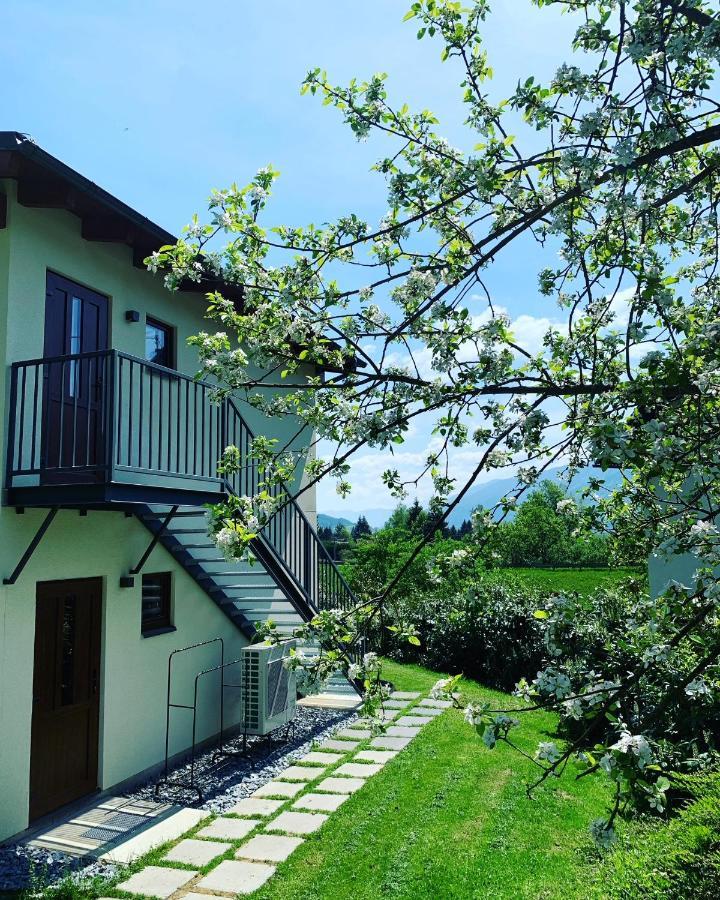 Pension & Apartments Waldkrieber Presseggersee Zewnętrze zdjęcie